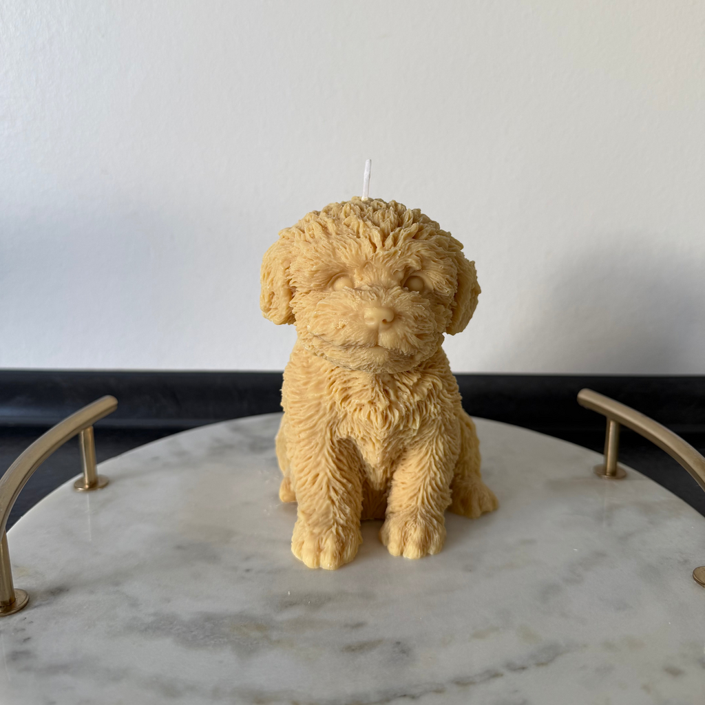 Maltese Dog Candle