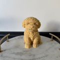 Maltese Dog Candle