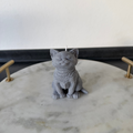 Mini Cat Candle